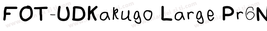 FOT-UDKakugo Large Pr6N字体转换